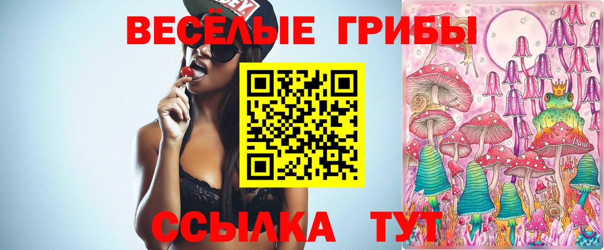 купить закладку  Псилоцибиновые грибы мухоморы  Старая Купавна  Вход с VPN  Псилоцибиновые грибы Psilocybe 